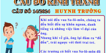 CÂU SỐ 14/2024 – DÀNH CHO HUYNH TRƯỞNG