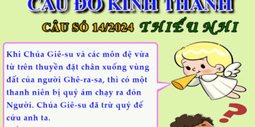 CÂU SỐ 14/2024 – DÀNH CHO THIẾU NHI