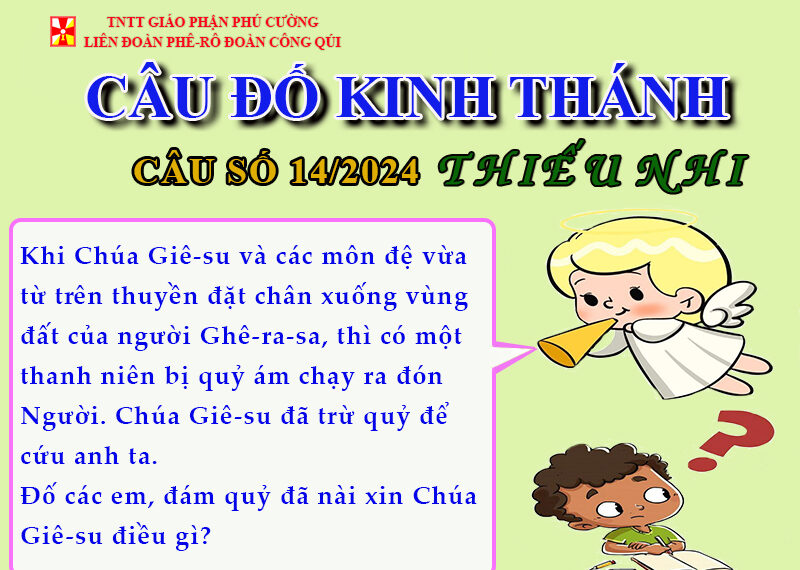 CÂU SỐ 14/2024 – DÀNH CHO THIẾU NHI