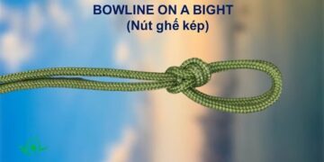 NÚT (GÚT) GHẾ KÉP