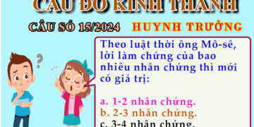CÂU SỐ 15/2024 – DÀNH CHO HUYNH TRƯỞNG