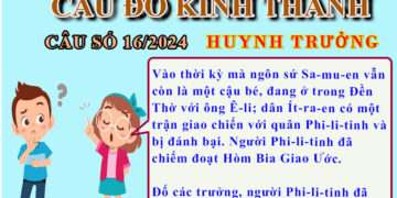 CÂU SỐ 16/2024 – DÀNH CHO HUYNH TRƯỞNG