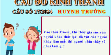 CÂU SỐ 17/2024 – DÀNH CHO HUYNH TRƯỞNG