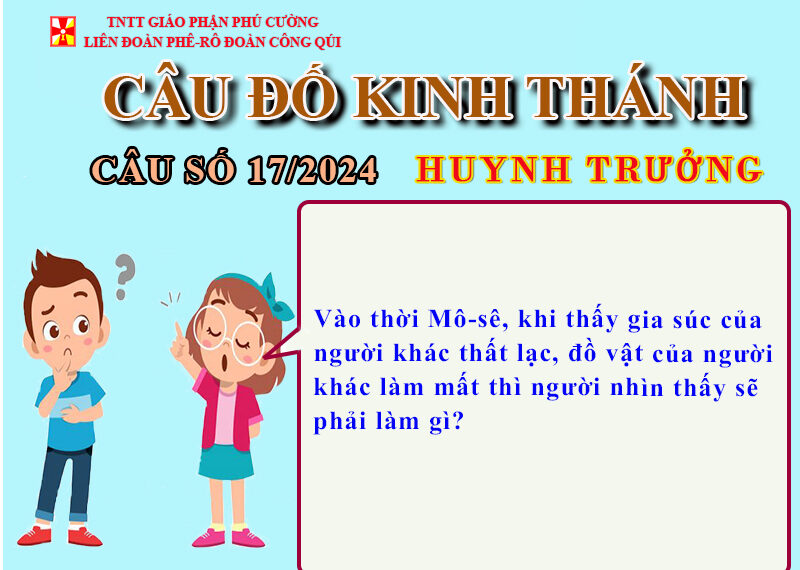 CÂU SỐ 17/2024 – DÀNH CHO HUYNH TRƯỞNG