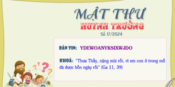 MẬT THƯ SỐ 17/2024 – DÀNH CHO HUYNH TRƯỞNG