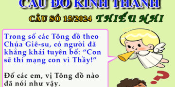 CÂU SỐ 15/2024 – DÀNH CHO THIẾU NHI