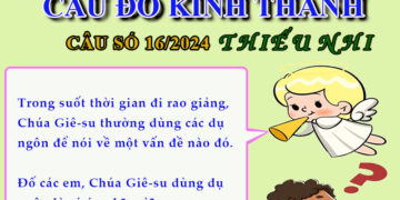 CÂU SỐ 16/2024 – DÀNH CHO THIẾU NHI
