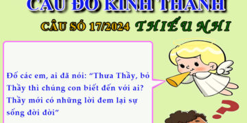 CÂU SỐ 17/2024 – DÀNH CHO THIẾU NHI