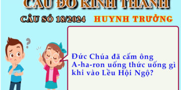 CÂU SỐ 18/2024 – DÀNH CHO HUYNH TRƯỞNG
