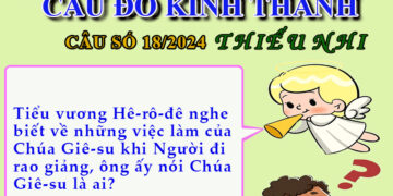 CÂU SỐ 18/2024 – DÀNH CHO THIẾU NHI