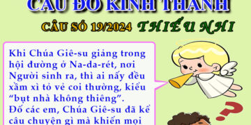 CÂU SỐ 19/2024 – DÀNH CHO THIẾU NHI