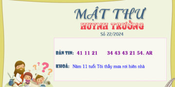 MẬT THƯ SỐ 22/2024 – DÀNH CHO HUYNH TRƯỞNG