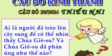 CÂU SỐ 20/2024 – DÀNH CHO THIẾU NHI
