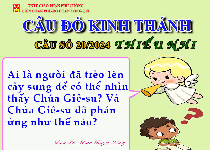 CÂU SỐ 20/2024 – DÀNH CHO THIẾU NHI