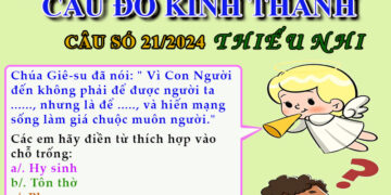 CÂU SỐ 21/2024 – DÀNH CHO THIẾU NHI