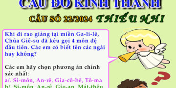 CÂU SỐ 22/2024 – DÀNH CHO THIẾU NHI