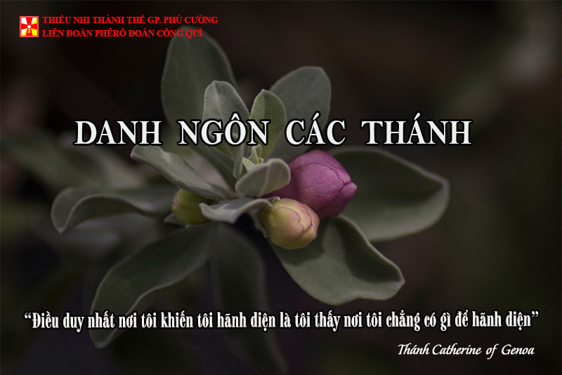 DANH NGÔN CÁC THÁNH
