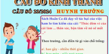 CÂU SỐ 23/2024 – DÀNH CHO HUYNH TRƯỞNG