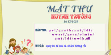 MẬT THƯ SỐ 23/2024 – DÀNH CHO HUYNH TRƯỞNG