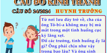 CÂU SỐ 24/2024 – DÀNH CHO HUYNH TRƯỞNG