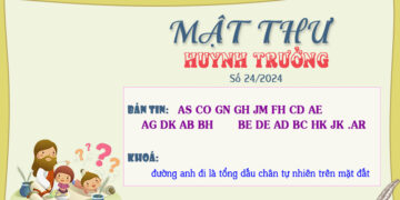 MẬT THƯ SỐ 24/2024 – DÀNH CHO HUYNH TRƯỞNG