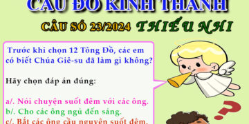 CÂU SỐ 23/2024 – DÀNH CHO THIẾU NHI