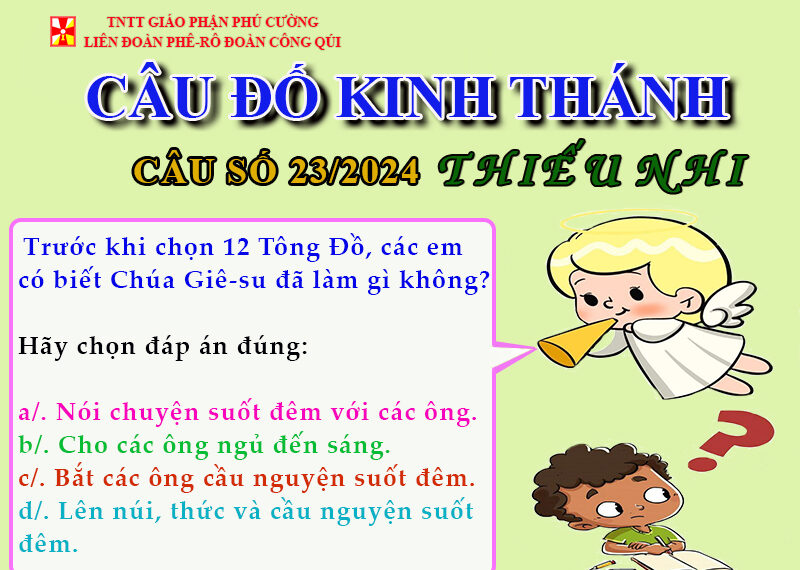 CÂU SỐ 23/2024 – DÀNH CHO THIẾU NHI