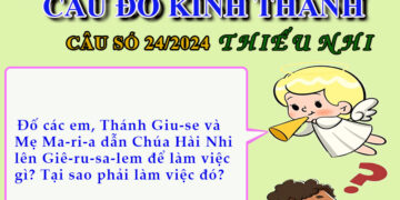 CÂU SỐ 24/2024 – DÀNH CHO THIẾU NHI
