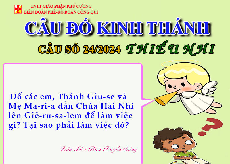 CÂU SỐ 24/2024 – DÀNH CHO THIẾU NHI