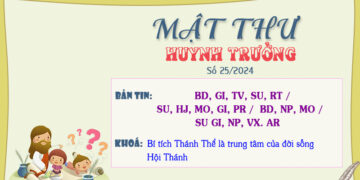 MẬT THƯ SỐ 25/2024 – DÀNH CHO HUYNH TRƯỞNG