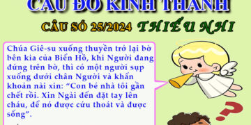CÂU SỐ 25/2024 – DÀNH CHO THIẾU NHI