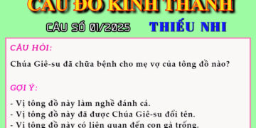 CÂU SỐ 01/2025 – DÀNH CHO THIẾU NHI