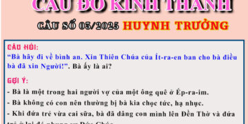 CÂU SỐ 03/2025 – DÀNH CHO HUYNH TRƯỞNG