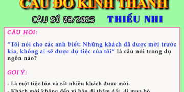 CÂU SỐ 03/2025 – DÀNH CHO THIẾU NHI