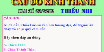 CÂU SỐ 05/2025 – DÀNH CHO THIẾU NHI