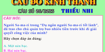 CÂU SỐ 06/2025 – DÀNH CHO THIẾU NHI