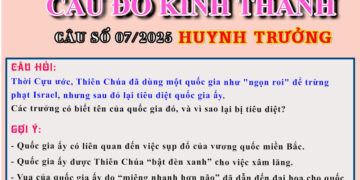 CÂU SỐ 07/2025 – DÀNH CHO HUYNH TRƯỞNG