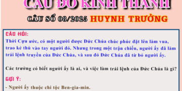 CÂU SỐ 08/2025 – DÀNH CHO HUYNH TRƯỞNG