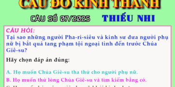 CÂU SỐ 07/2025 – DÀNH CHO THIẾU NHI