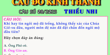 CÂU SỐ 08/2025 – DÀNH CHO THIẾU NHI