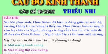 CÂU SỐ 10/2025 – DÀNH CHO THIẾU NHI