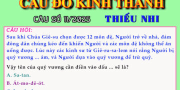 CÂU SỐ 11/2025 – DÀNH CHO THIẾU NHI