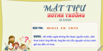 MẬT THƯ SỐ 11/2025 – DÀNH CHO HUYNH TRƯỞNG