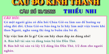 CÂU SỐ 12/2025 – DÀNH CHO THIẾU NHI