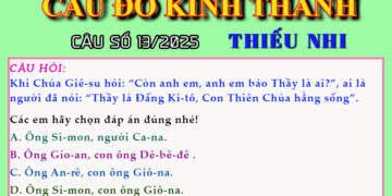 CÂU SỐ 13/2025 – DÀNH CHO THIẾU NHI