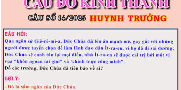 CÂU SỐ 14/2025 – DÀNH CHO HUYNH TRƯỞNG