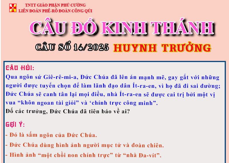CÂU SỐ 14/2025 – DÀNH CHO HUYNH TRƯỞNG