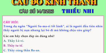 CÂU SỐ 14/2025 – DÀNH CHO THIẾU NHI