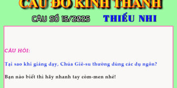 CÂU SỐ 15/2025 – DÀNH CHO THIẾU NHI