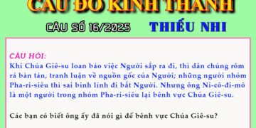 CÂU SỐ 16/2025 – DÀNH CHO THIẾU NHI